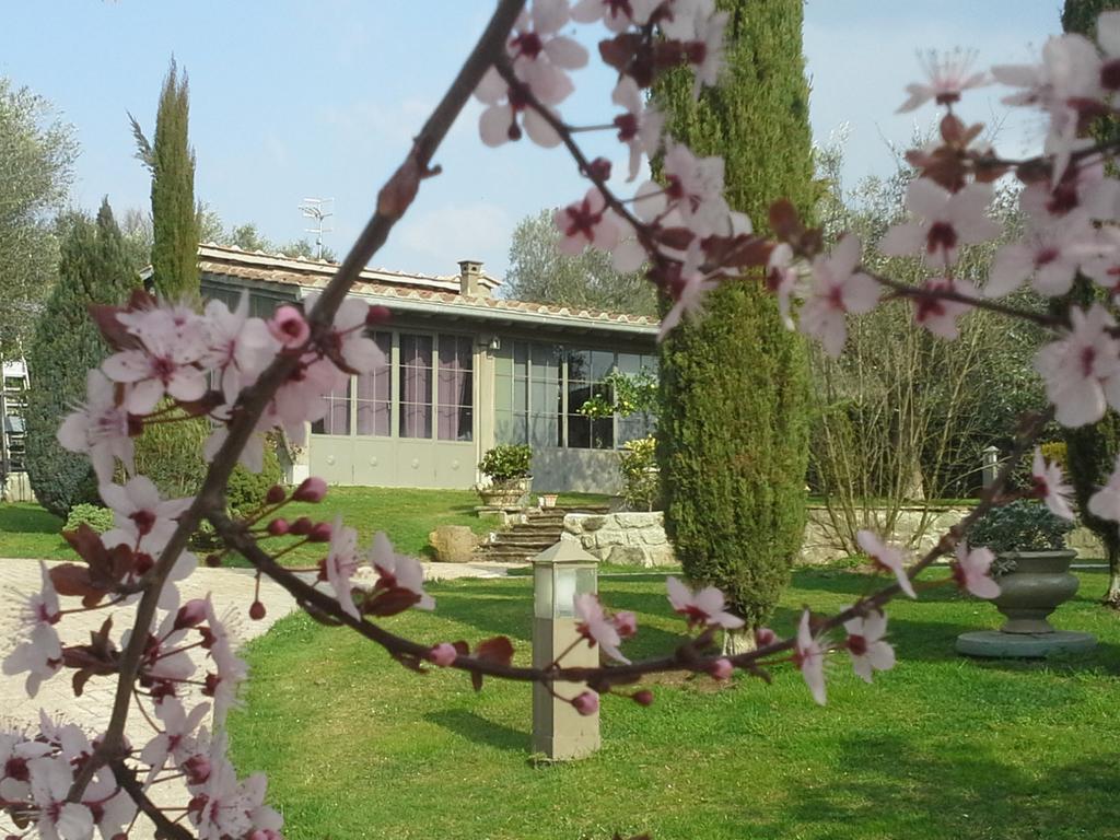 Residenza Teodorico Re B&B Viterbo Exterior foto