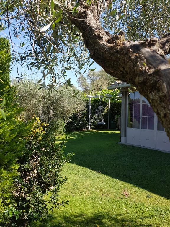 Residenza Teodorico Re B&B Viterbo Exterior foto