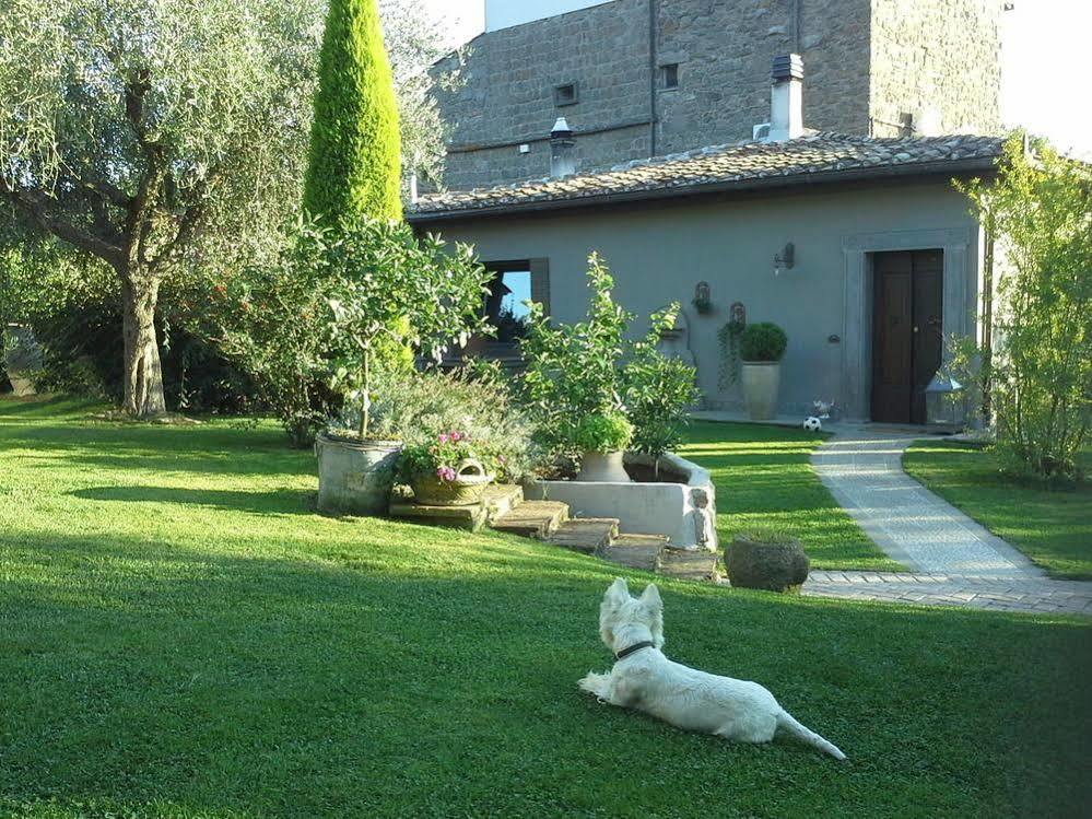 Residenza Teodorico Re B&B Viterbo Exterior foto